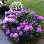 Daire Naturresidenz Kropfitsch *