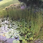 Naturresidenz Kropfitsch Daire *
