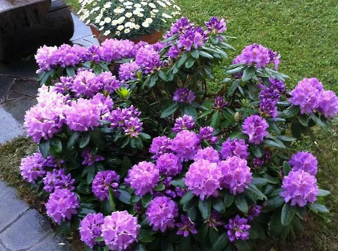 Apartament Naturresidenz Kropfitsch *