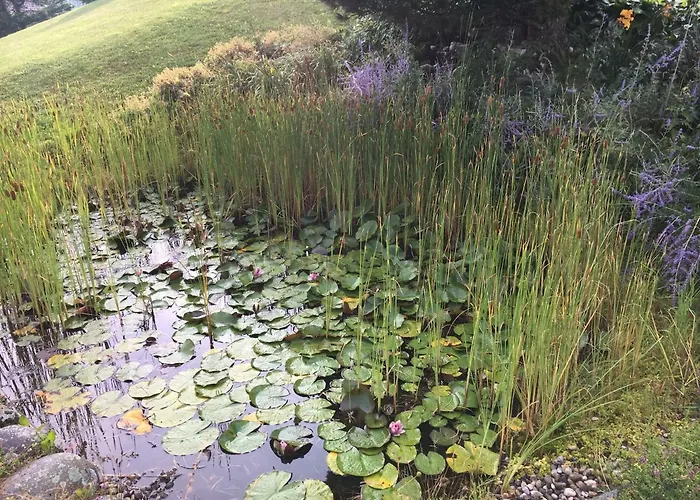 Naturresidenz Kropfitsch Lejlighed *